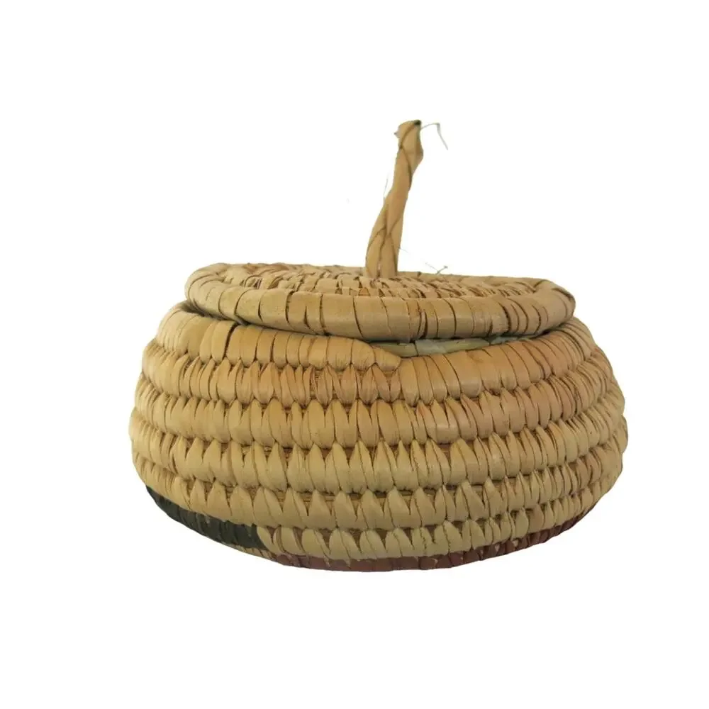 AFRICAN Hand Woven Hanging Basket Grass Tribal Ethnic Lid and Loop Nigeria Tans